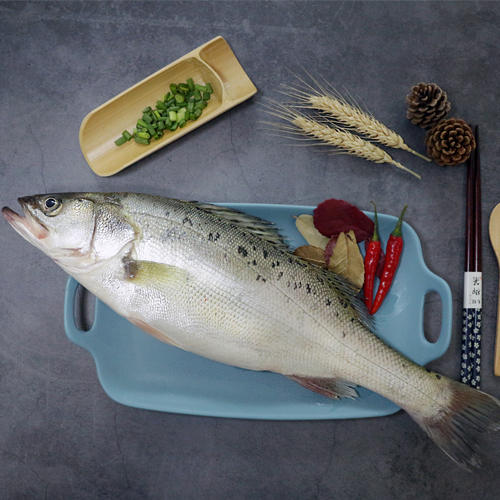 SEA BASS