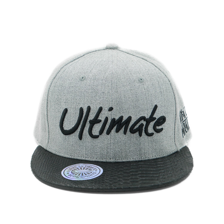 Ultimate极限飞盘主题帽