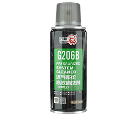 G206B进气系统高效清洗剂（自带压型）
