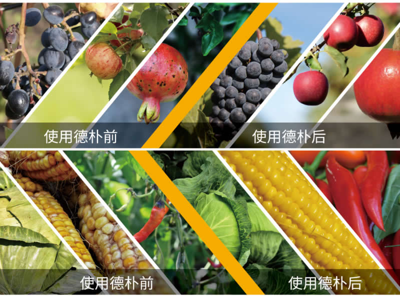 大量元素水溶肥的使用方法和注意事项