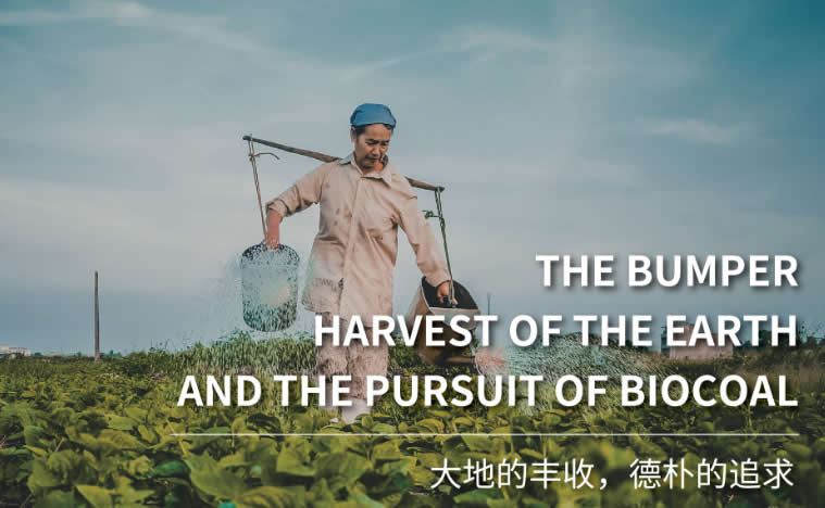 回顾过去，展望未来，德朴的承诺