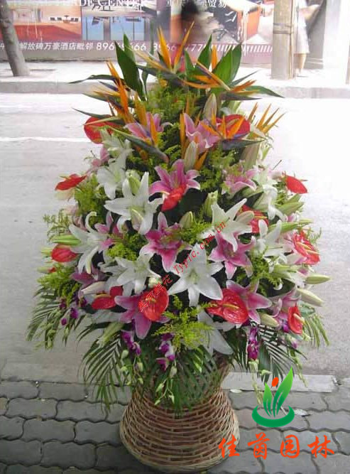 喜庆花篮