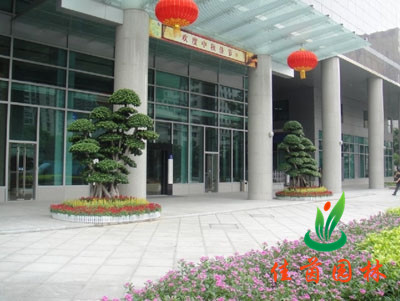 机关单位植物租赁