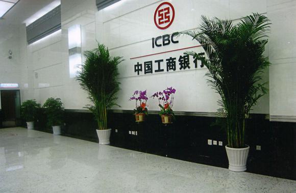 植物租赁案例展示