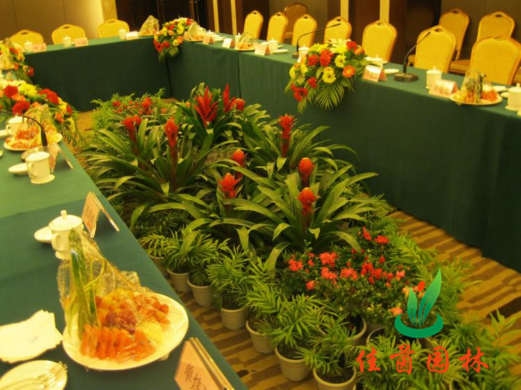 高档会议室摆花