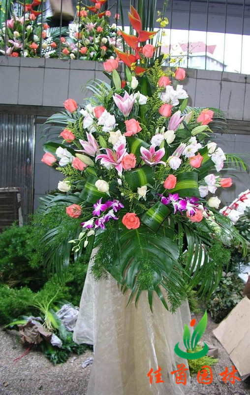 喜庆花篮配送系列