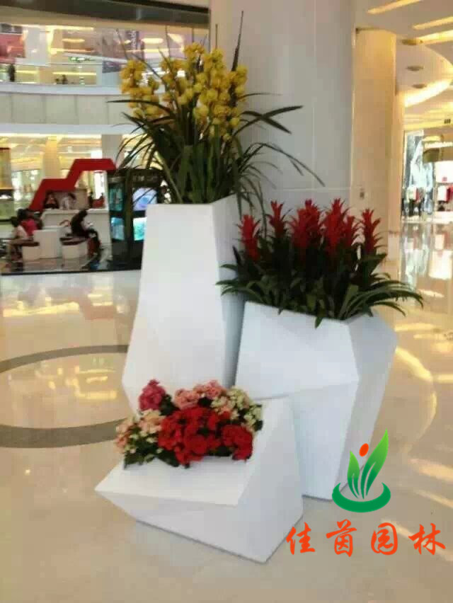 商场花木租赁