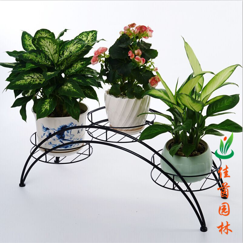 室内摆放绿色植物的好处