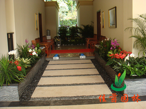 售楼中心植物租赁