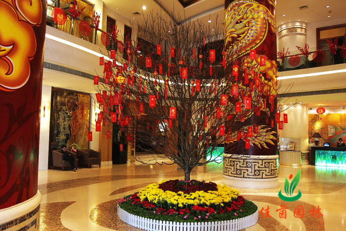 好运桃花花圃组合