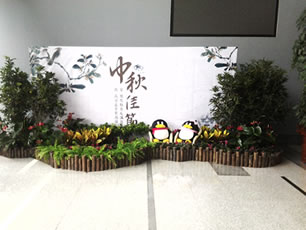 植物租赁案例展示