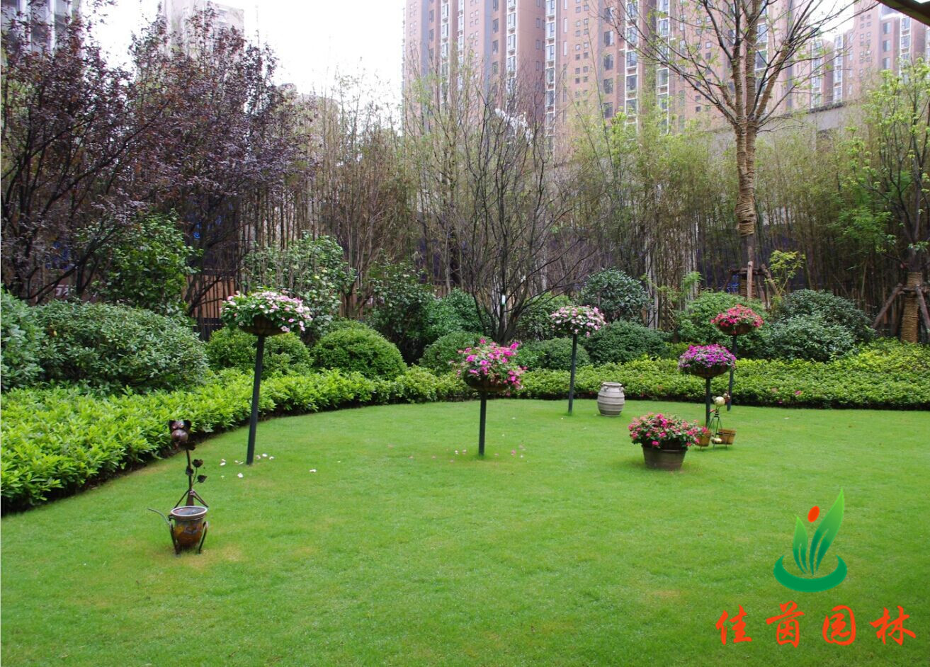 小区绿化展示
