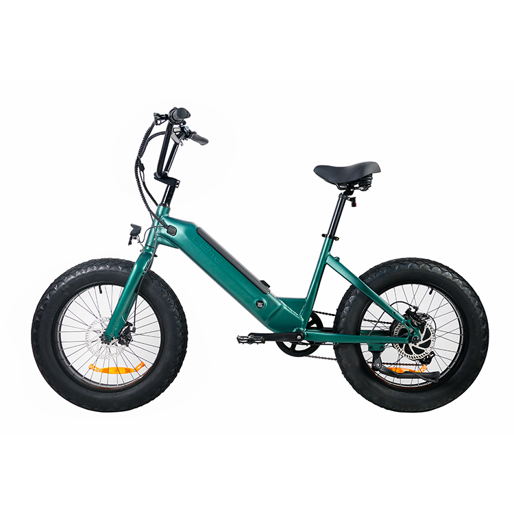 Lehe S20 Fat Tire E-bike