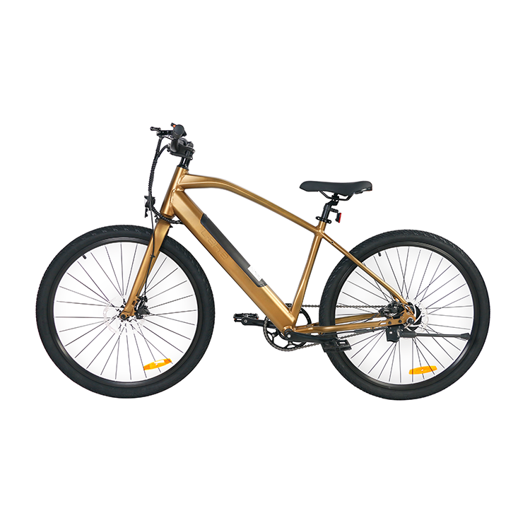 S19 Electric Bike