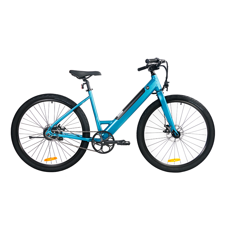 S18 Electric Bike