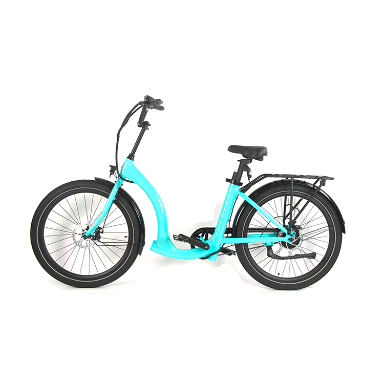 S13 Pedal Electric Bike