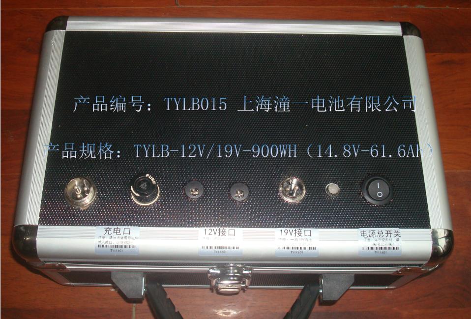 TYLB-12V/19V-900WH