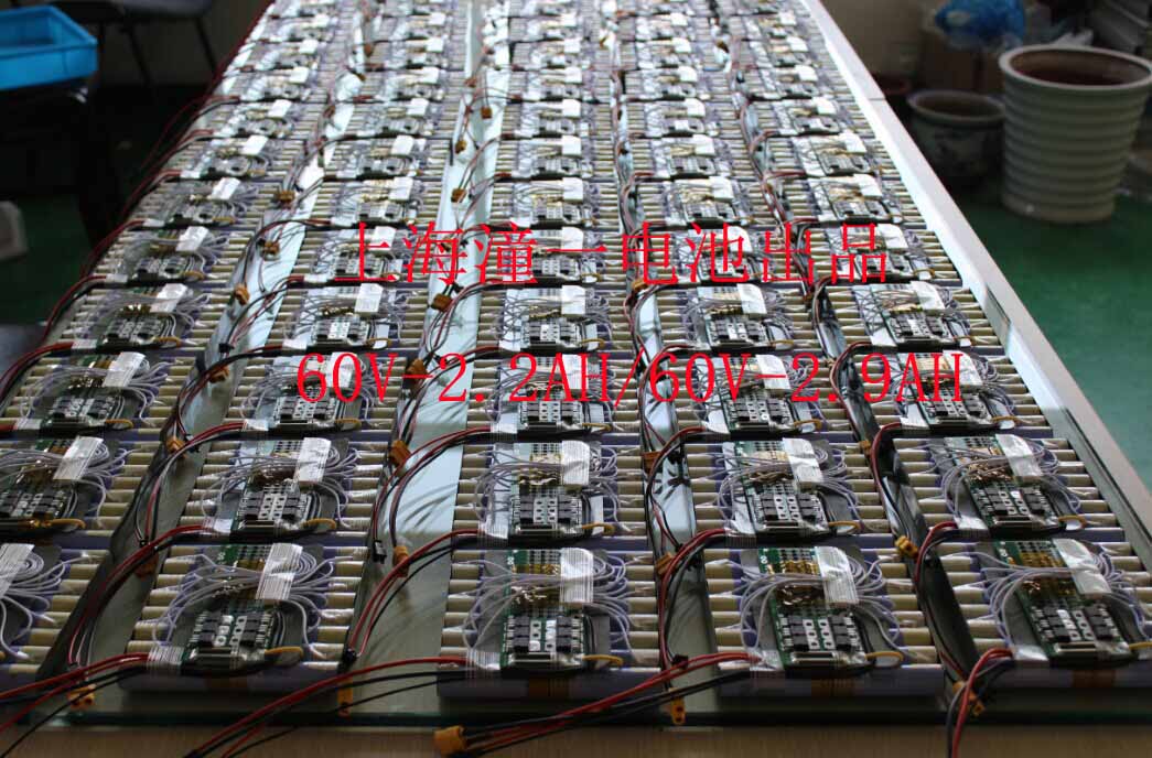 TYLB-60V-2.9AH