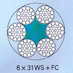 6×31WS+FC