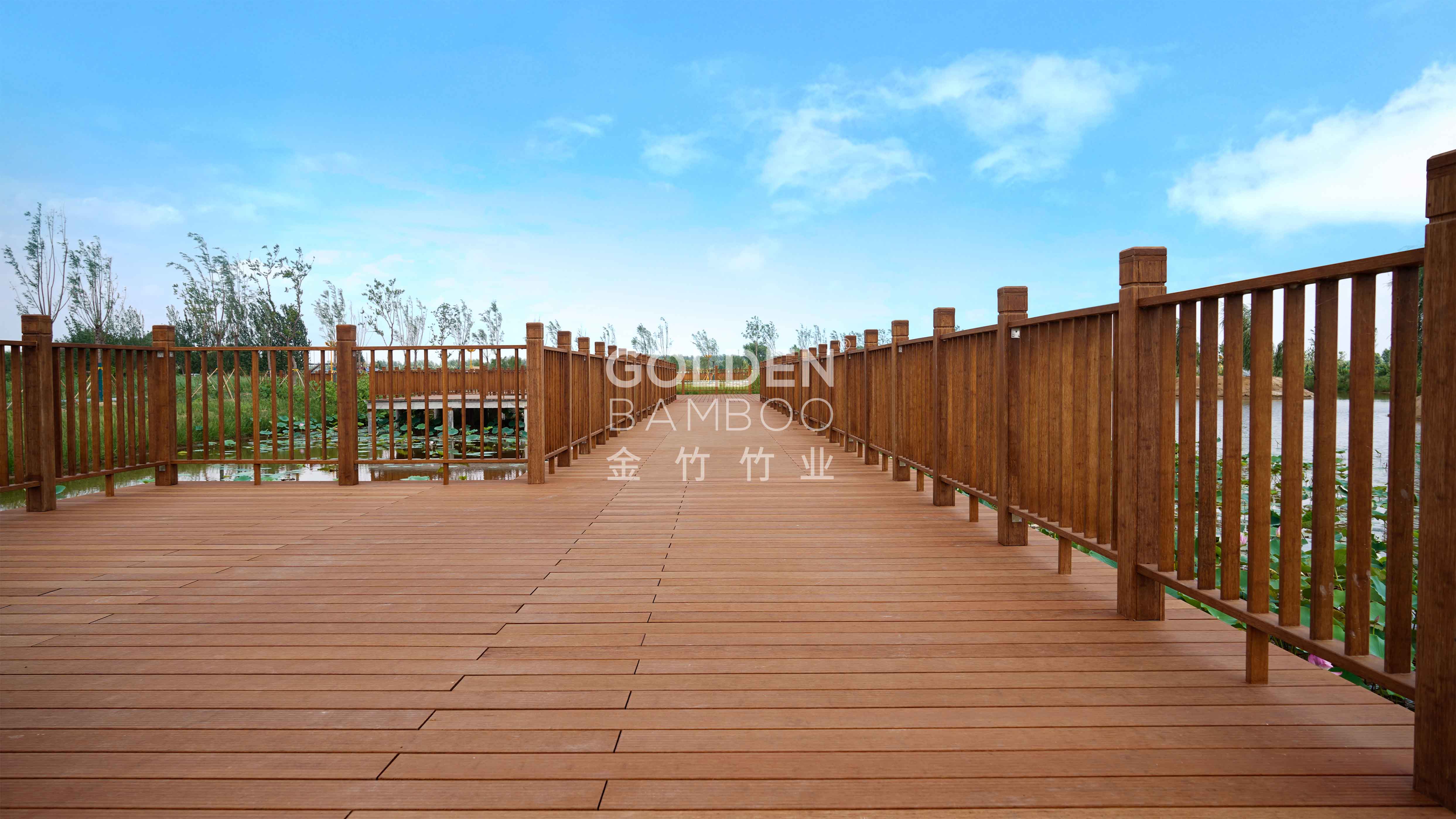 曹县黄河故道国家湿地公园