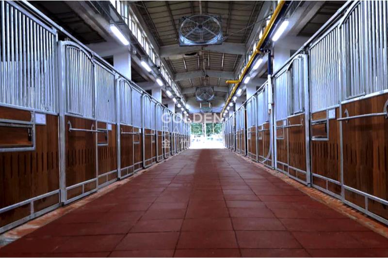 韩国果川市马场