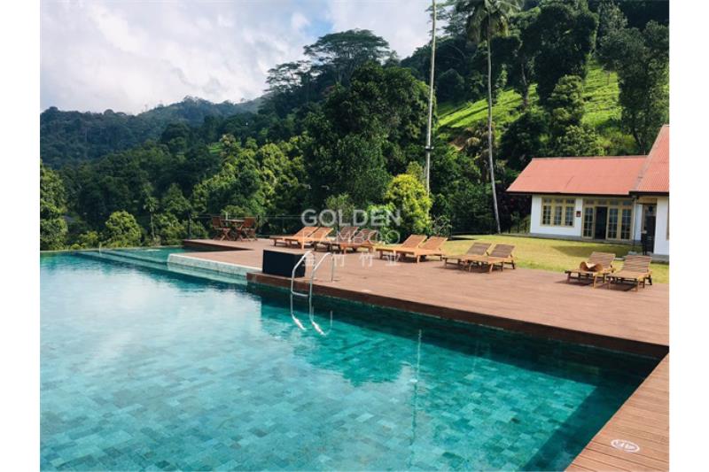 斯里兰卡辛普森森林酒店