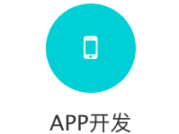 移动端软件APP开发