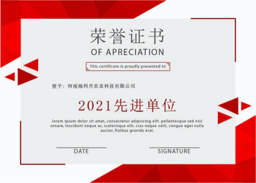 2021先进单位