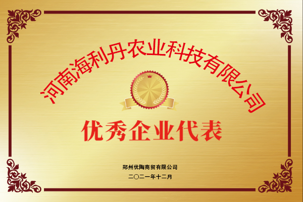 优秀企业代表
