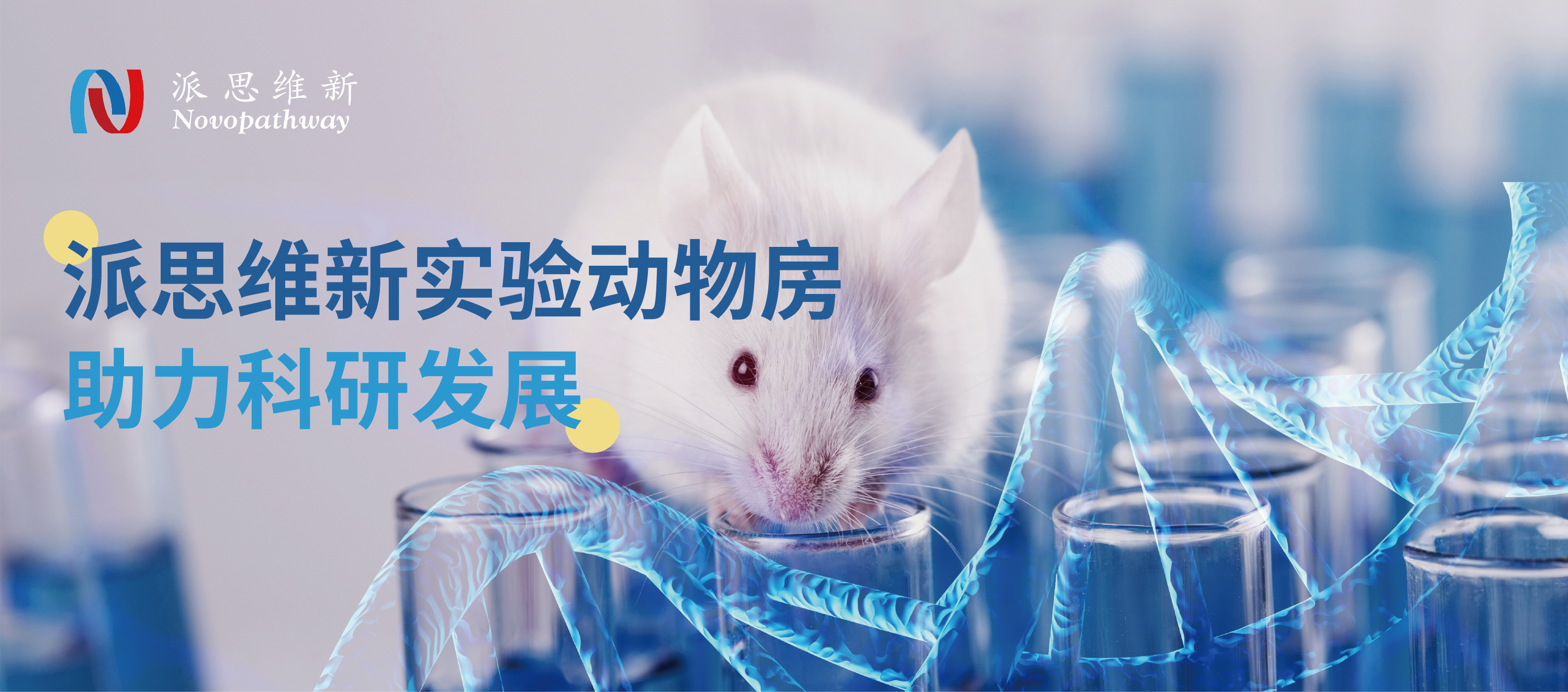 派思维新动物房全新升级| CRO公司动物实验室，以专业和关怀，助力医药研发。