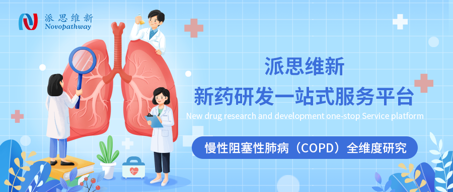 慢性阻塞性肺病（COPD）全维度研究