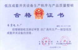 低压厉套开关设备生产秩序与产品质量整顿合格证书