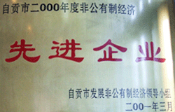 非公有制经济先进企业