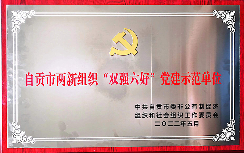 自貢市兩新組織“雙強六好”黨建示范單位