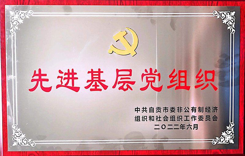 先進(jìn)基層黨組織