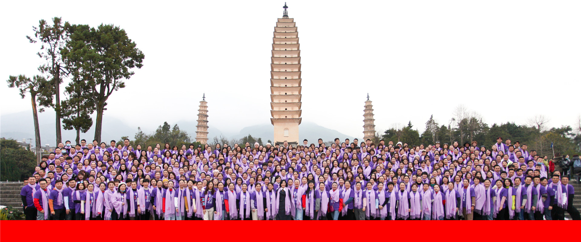 企业合影