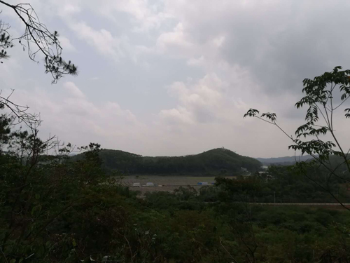 重庆风水大师高浦洪4月29日在广东惠州为福主老板看阴宅风水