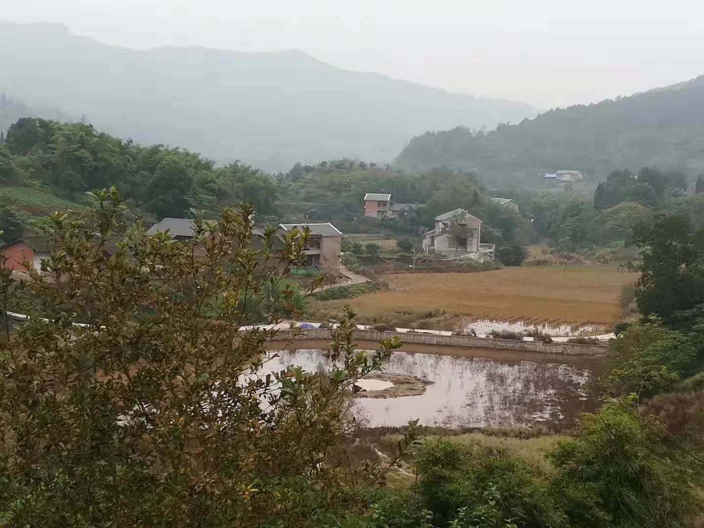 重庆风水大师在重庆市江津区广兴镇为福主老板做阴宅风水