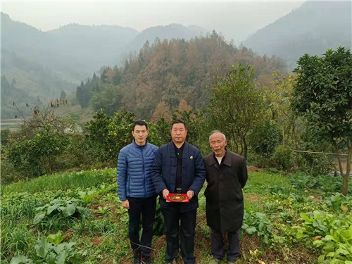 中国著名易道商三界联盟天眼风水学者高浦洪，2021年12月20日在重庆市綦江区永新镇水口村海拔1100米高山上带领徒弟考察道光年间刘氏祖墓及高山风水格局。