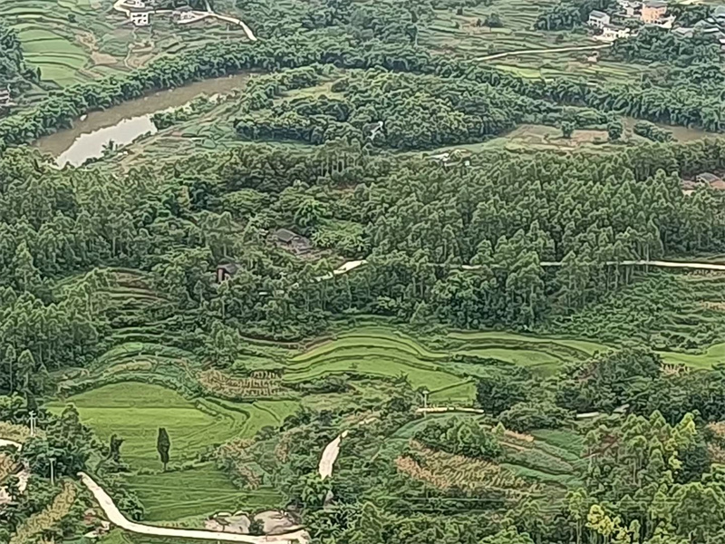 中国天眼风水实战应用非遗传承人，中国非物质文化遗产研究院智库专家高浦洪，2023年11月18日受邀在重庆市江津区珞璜为福主老板看阴宅墓地