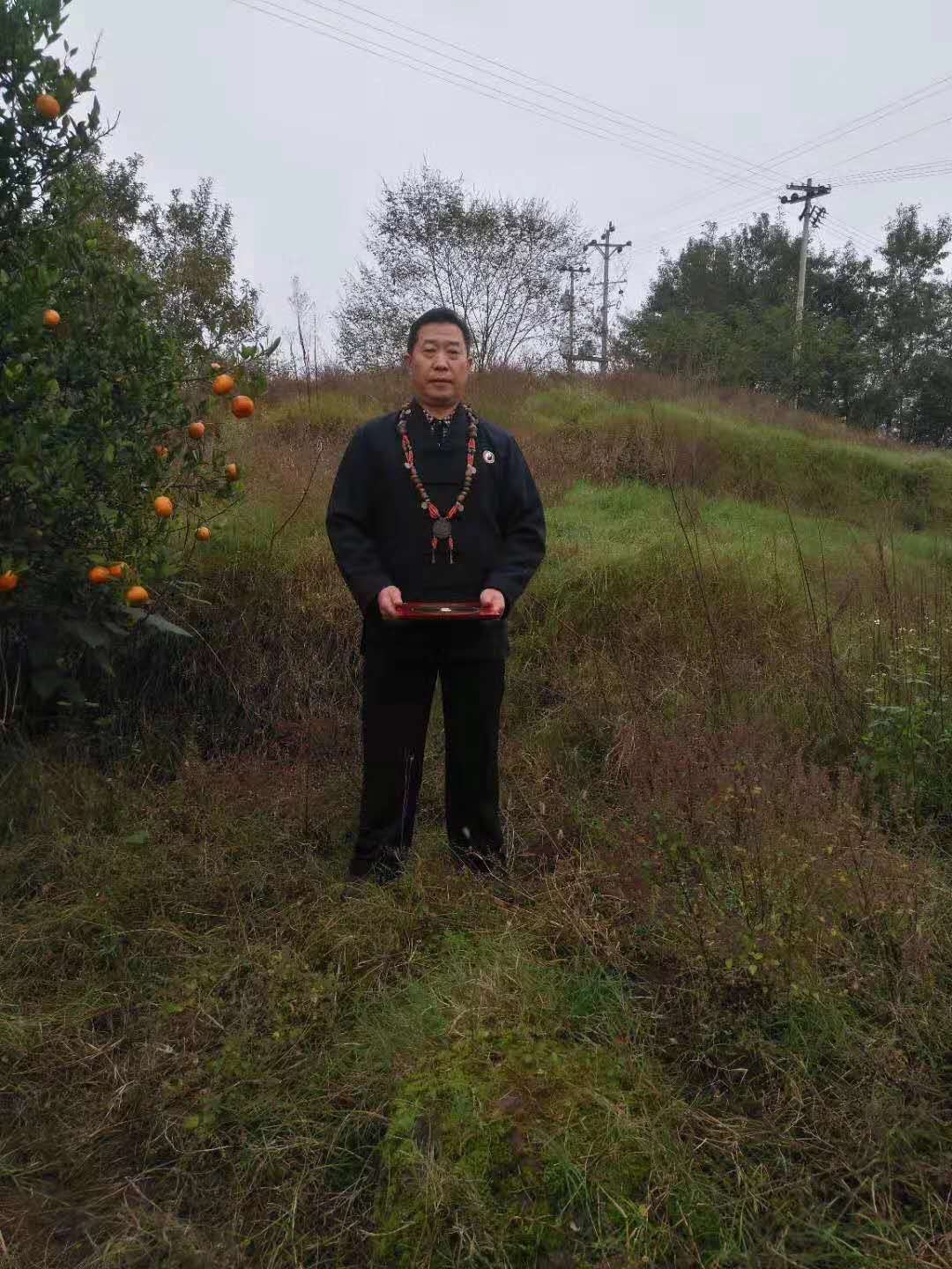 高浦洪