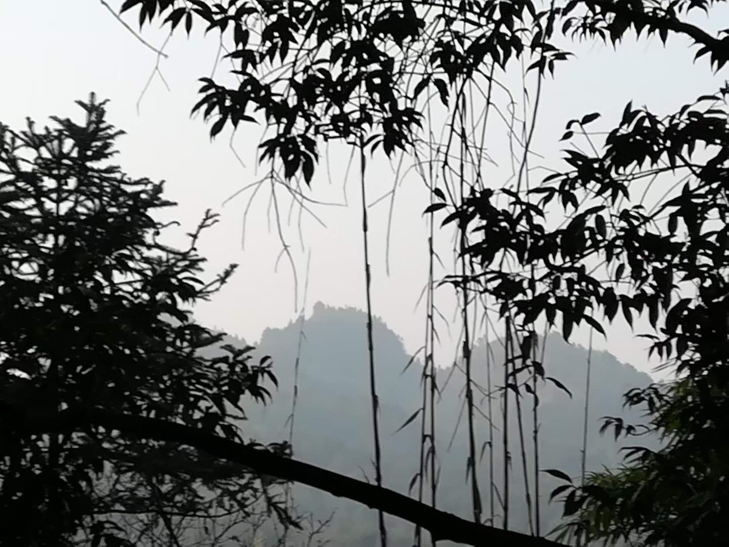 高浦洪