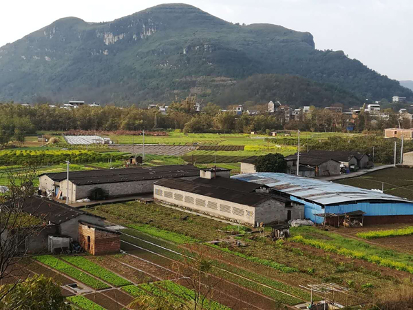 重庆风水大师高浦洪在广西桂林市灵川县大圩镇宝塔山为福主老板做阴宅风水，种生基