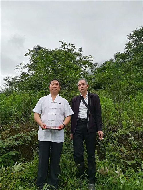 重庆风水大师高浦洪，2020年5月16日在重庆市綦江区永新镇为福主老板看阴宅风水，精选阴宅墓地。