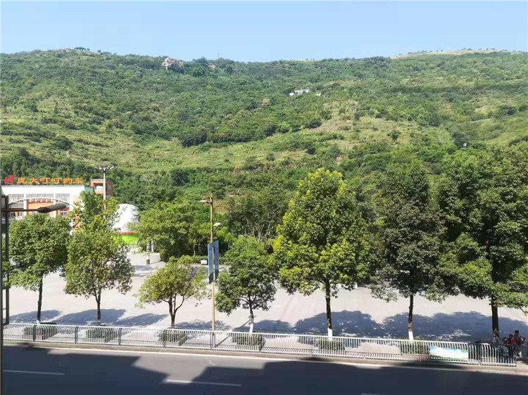 中国著名易经风水学者，重庆风水大师高浦洪在重庆市綦江区为福主老总看阳宅风水