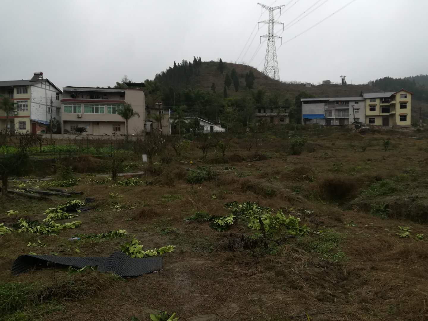 高浦洪