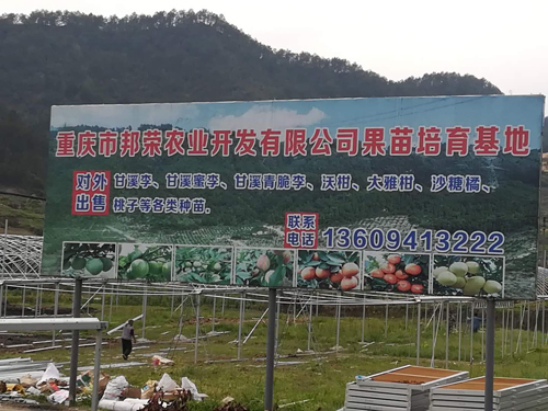 重庆风水大师高浦洪在重庆市綦江区为农业开发项目老板看阳宅风水
