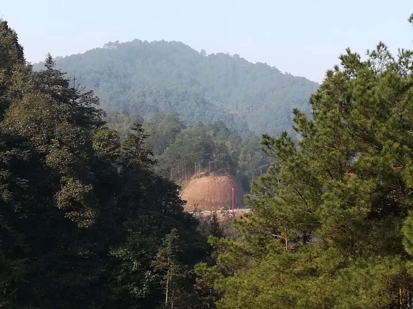 高浦洪