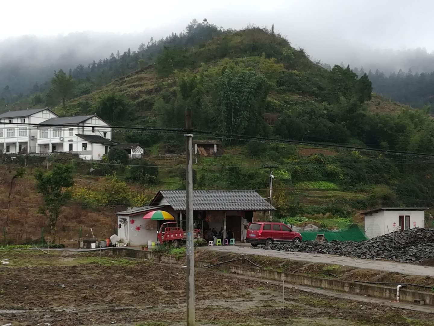 高浦洪