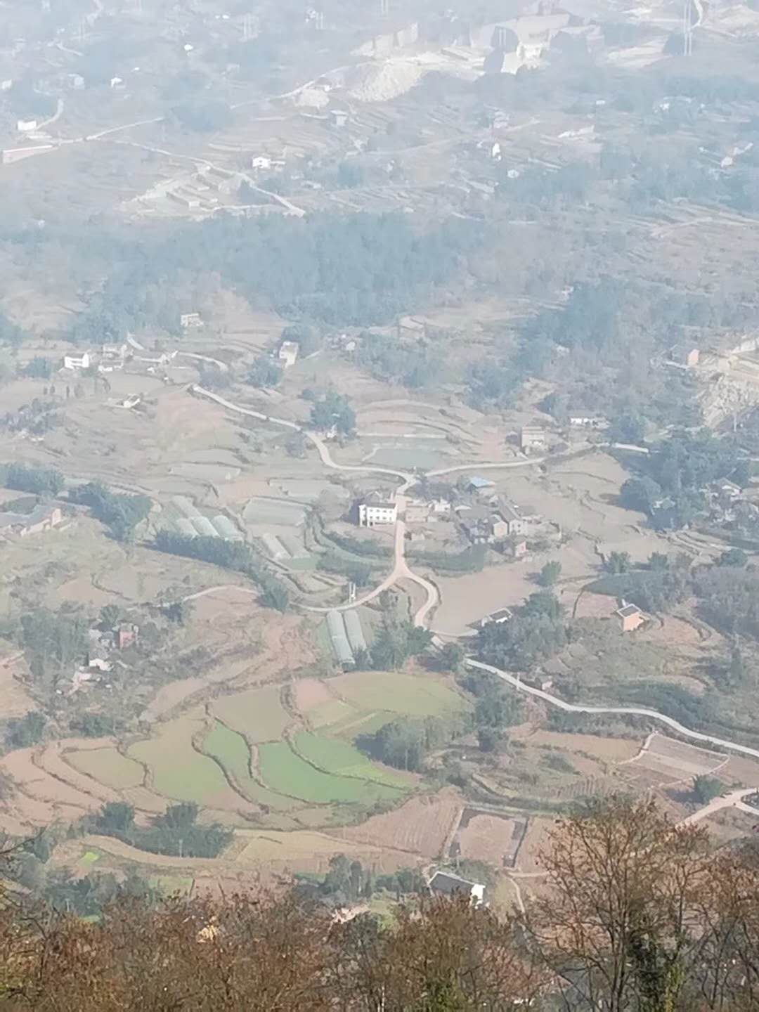 高浦洪